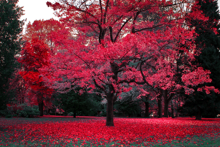 ♥ ♥ ♥ ♥ ♥ ♥ ♥ ♥ ♥ ♥ ♥ ♥ ?