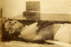 g-o-r-e-b-u-n-n-y-blog:  Dead bodies in a