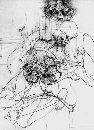 hans bellmer  porn pictures