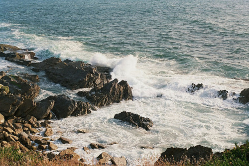hitlerscat:untitled by Petrana Sekula on Flickr.