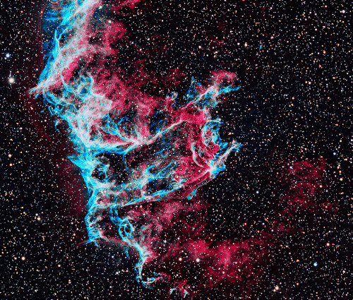 weareallstarstuff: Network Nebula