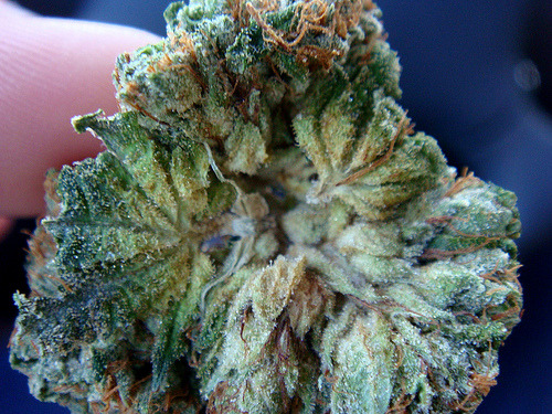 swag and stoners give me boners