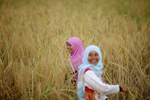 Muslim girls smile as they work in a rice field in the troubled Yala province in southern Thailand. 