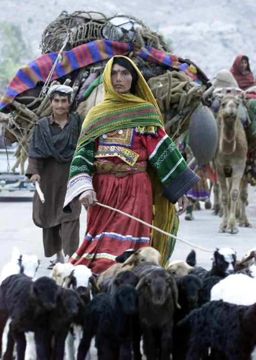 williamsonsbeauty:Kuchi nomads - Afghanistan