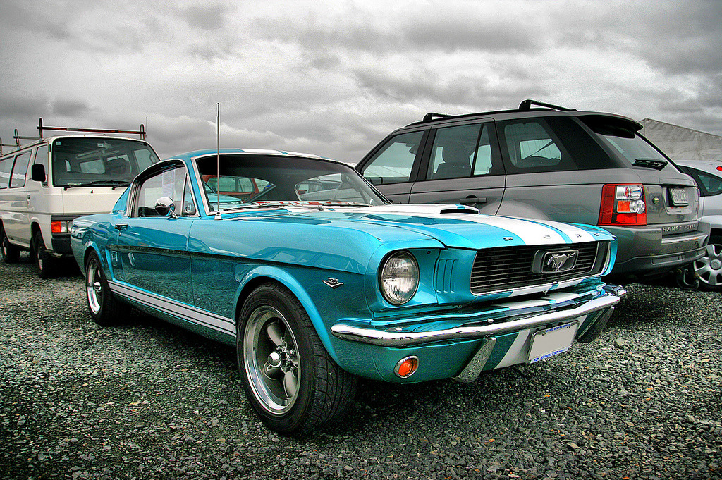 Pure Muscle