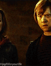 Sex  That moment when Ron and Hermione absolutely pictures