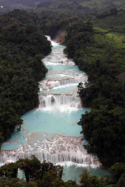 earth-ism:  Agua Azul Waterfalls, Chiapas, Mexico 