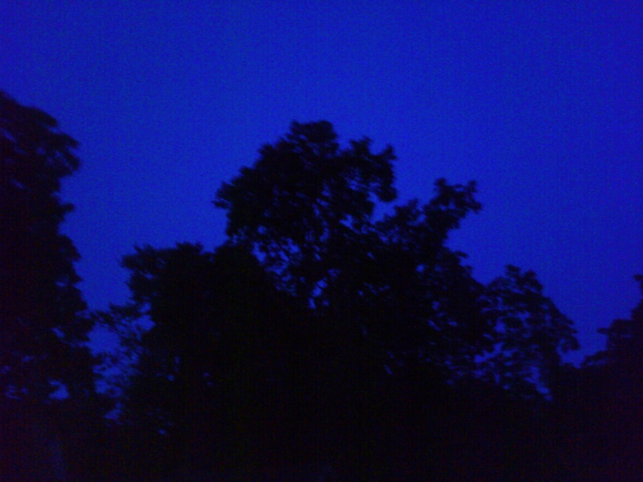 Nutley skies