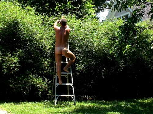   just the perfect height to rim that sexy ass - I love a well trimmed hedge. lets fuck all afternoon in your garden. 