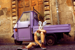 Lavanda Bunny - Rome, Italy - 2011 - Alexander