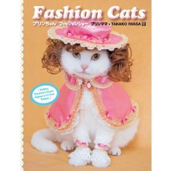 fashion cats! 