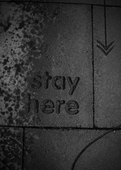 nevver:  stay here 