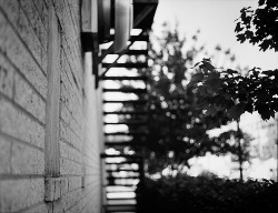 black-and-white:  chasing the light #5 {289/365}