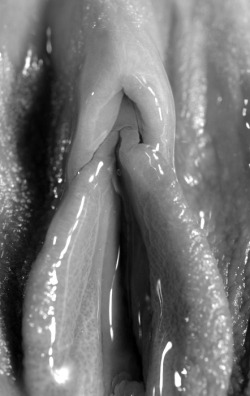 strokemypuss:  Lovely wet lips! :-) http://strokemypuss.tumblr.com 