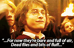 samwesson: Hogwarts, Hogwarts, hoggy warty Hogwarts, Teach us something, please,