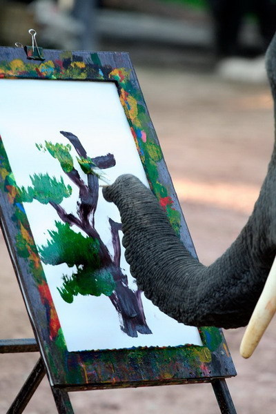 funny-pictures-uk:  Artistic Elephant. 