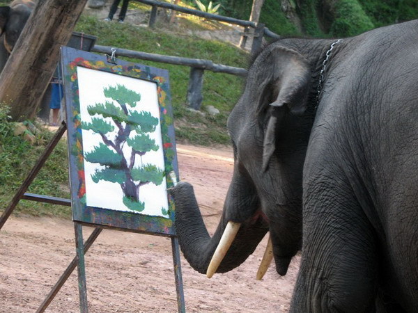 funny-pictures-uk:  Artistic Elephant. 