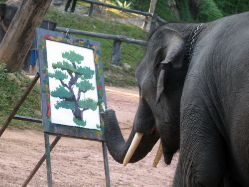 funny-pictures-uk: Artistic Elephant.