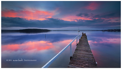 llbwwb: Moulting Bay (by Dylan Toh (baby due))