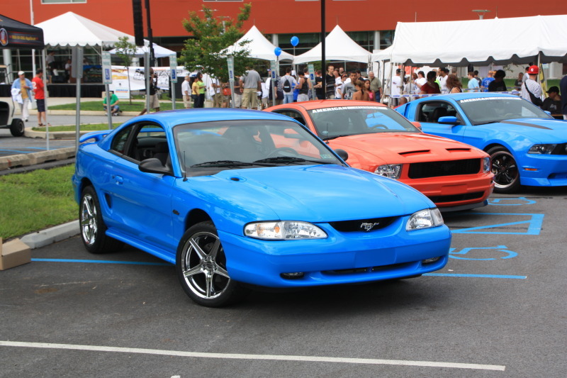 Pure Muscle