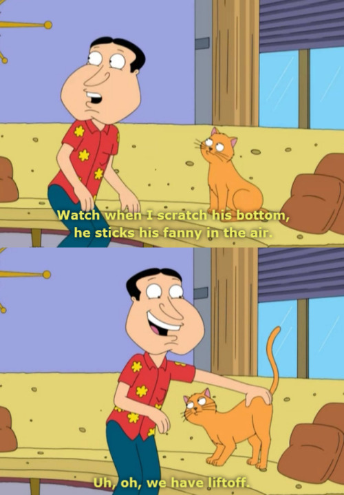 quagmire