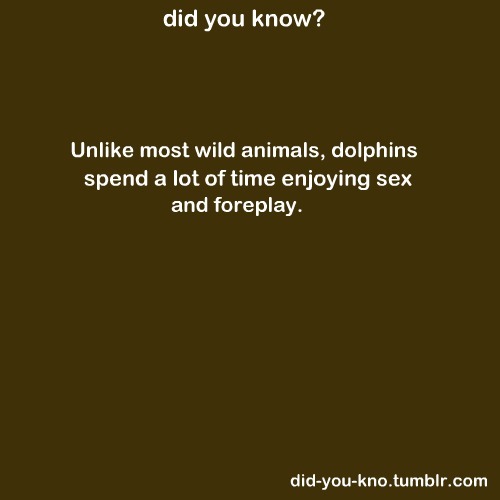 ohbby.