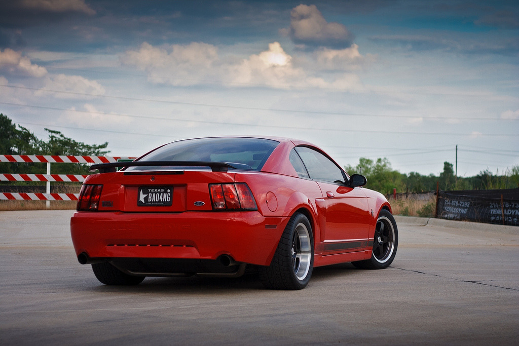 Pure Muscle