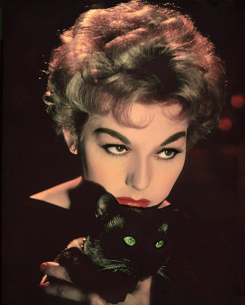 wrongalicious:  My next cat will be named Pyewacket!  I really want a kitty, but