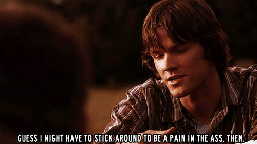 i aim to misbehave