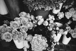 xxx tumblr