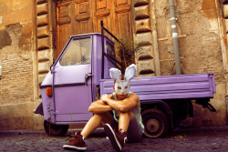 Lavanda Bunny - Rome, Italy - 2011 - Alexander