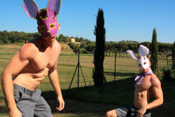 Toscana Bunnies - Tuscany, Italy 2011 - Alexander Guerra The Bunnies that “Work” the Vineyard :)