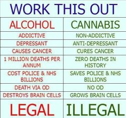 umm i&rsquo;m pretty sure weed doesn&rsquo;t grow brain cells O___O or cure cancer&hellip;. and i&rsquo;m pretty sure people have died from accidents related to being high&hellip; and it won&rsquo;t really save police billions if the make it legal but