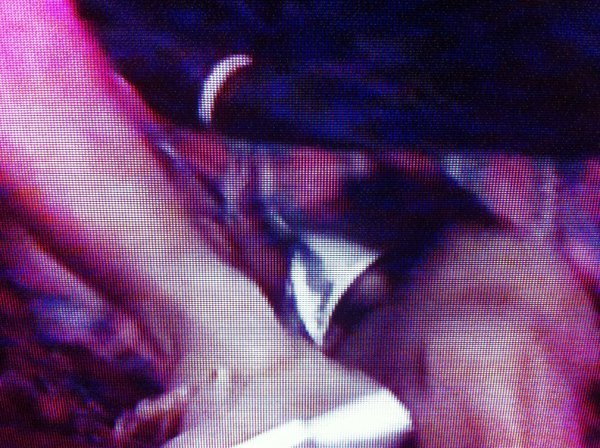 hotkatnj:  Lucien Laviscount  wardrobe malfunction 