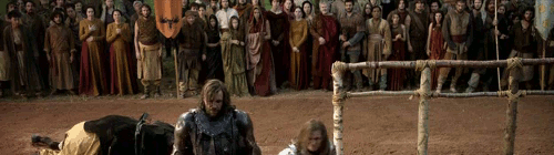 fuckyeahsandorclegane