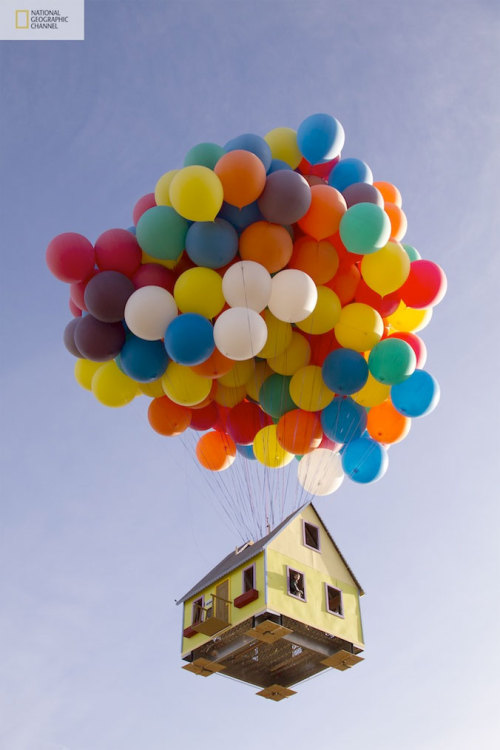 cordisre:The house of “Up” and National Geographic