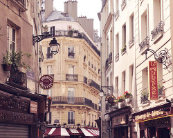 allthingseurope:  Paris corners (by liz.rusby)