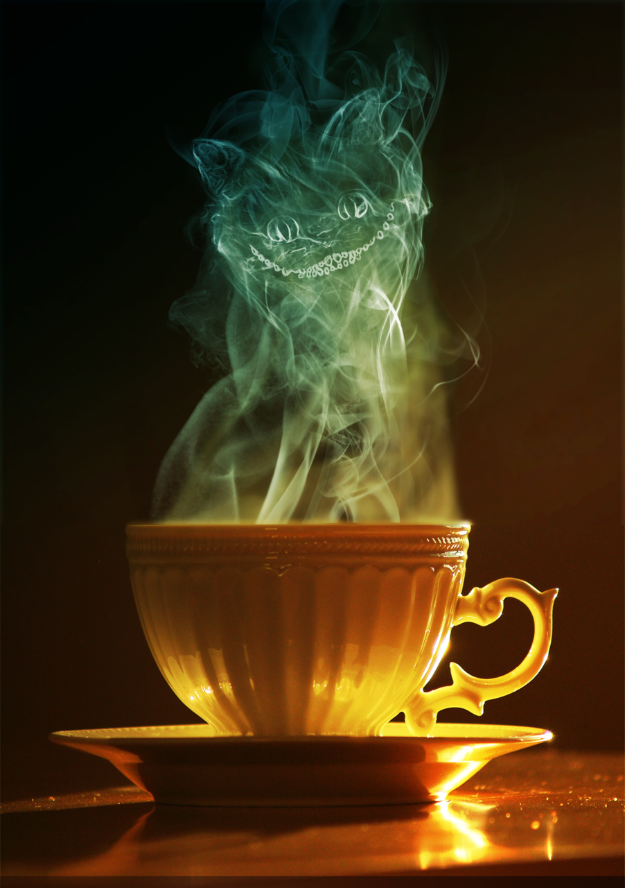 whatstheenpointe:  Coffee Cat 