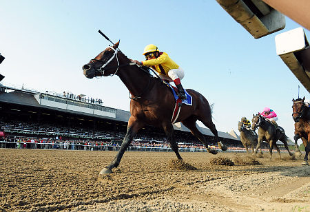 Kensei, winner of the 2009 Dwyer and Jim Dandy Stakes, has been euthanized. The horse broke his right front cannon bone during a routine gallop at Belmont’s training track. A half brother to Lookin At Lucky, he won the Salvator Mile (III) and placed...