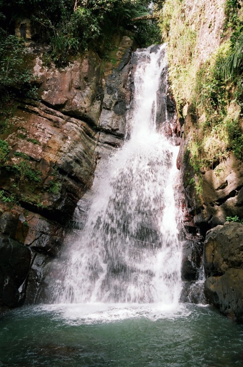 don’t go chasin waterfalls. el yunque. 2008