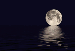  Tá ai.. a lua te mostrando que mesmo sózinha é possível brilhar.  ps 