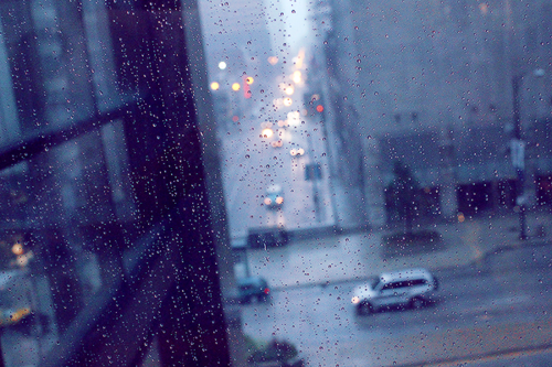 in·san·i·ty