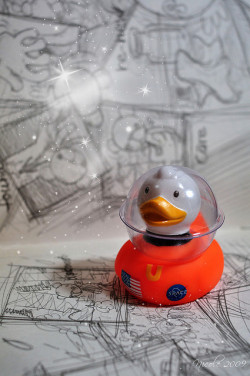 coloredmondays:Rubber Duckie - the astronaut