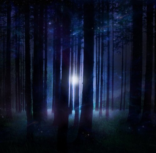 redsteroo:A Magical Forest by wyldraven on deviantART