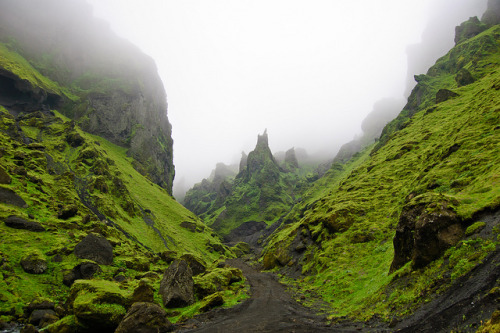 myheartwasneverpuree:Þakgil by Óli Már on Flickr.