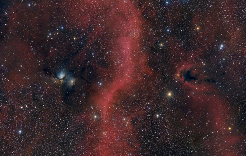 astral-plane: M78 vs LDN1622 by DeepSkyColors on Flickr.