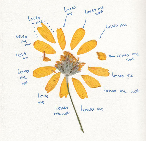 emptycupboard:  loves me loves me not loves me (by ariel rowan) 