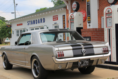 FuckYeahMustang porn pictures