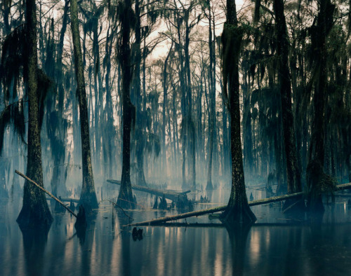 asiwantit:Nadav Kander