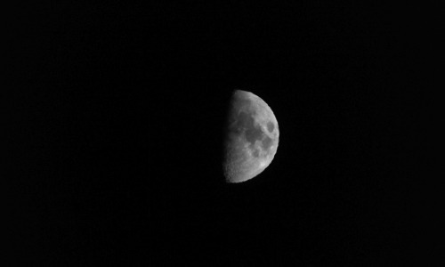keepmyoceanscalm.tumblr.com/post/9395953997/